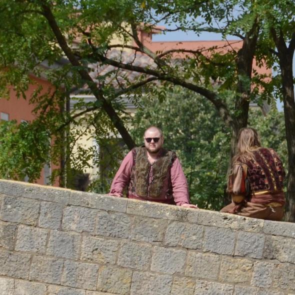 Galligants2.jpg image