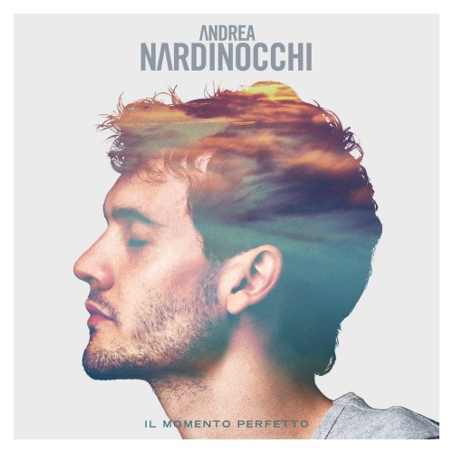 Andrea Nardinocchi - IL MOMENTO PERFETTO.jpg image